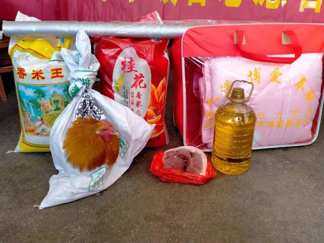 新春送暖，爱满人间——红十字暖春志愿者为困难家庭送年货活动纪实