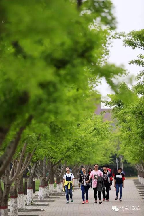 暖春诗韵满校园——“郑在读诗”校园季诗会在郑州大学温情上映